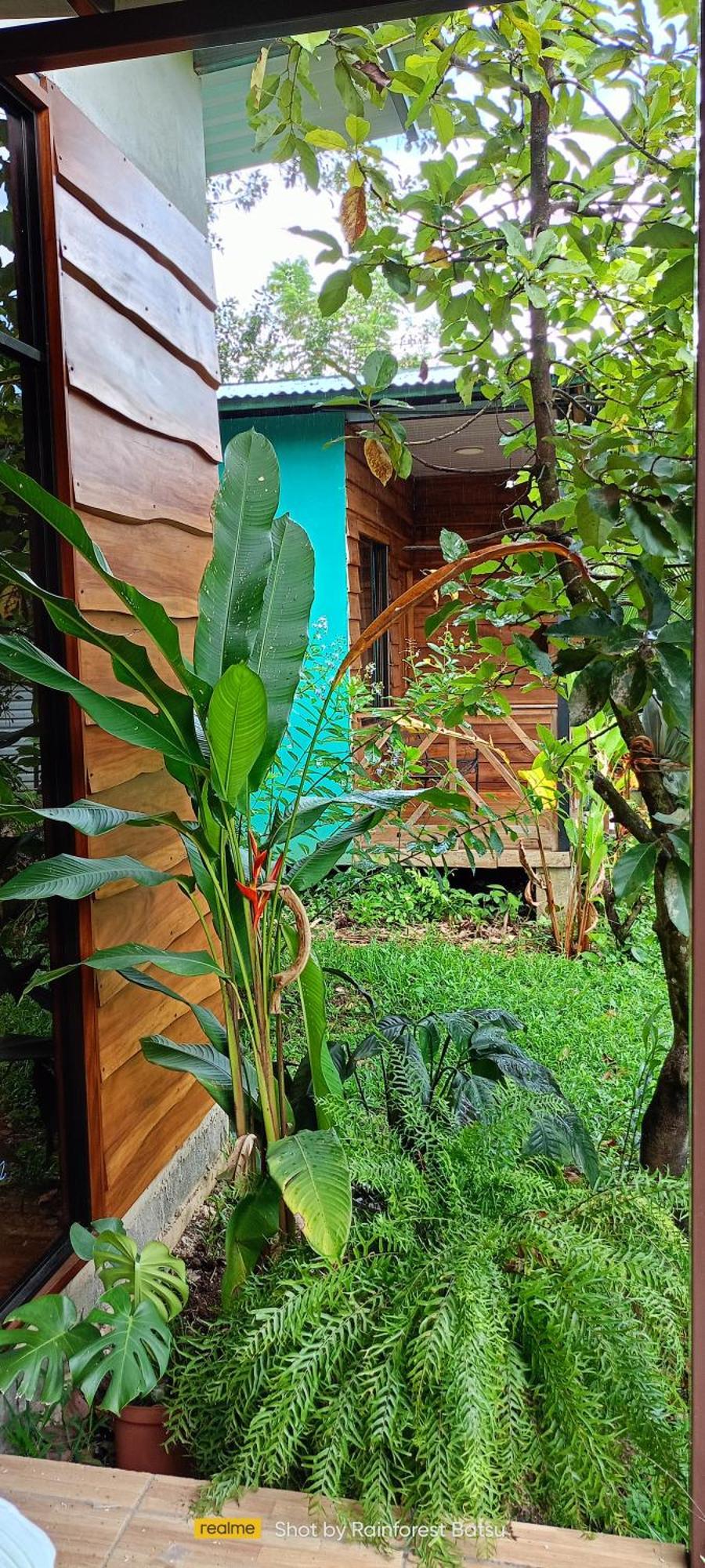 La Fortuna Bungalow Batsu מראה חיצוני תמונה